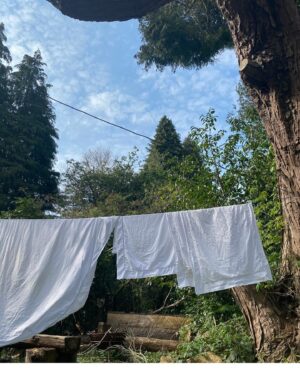 Joely Richardson Instagram - Sleeping in a garden. Something about a laundry line takes me back to childhood.These photos were actually taken a couple of years ago.  Ma awoke from her snooze and said “ I dreamt I was floating on a  laundry ship “. Later she penned a picture of her dream, me accompanying her in the hammock . I asked my Ma if she really wanted me to share these. “Yes I do “. “You sure Ma? You in your Lakers pj’s?” ( courtesy of @bgdans91 ). “Emphatically Yes. One day I’ ll have gone, and they’ll be here”. I think she likes her art work. I do. 🖼️ #lakers #pjs #pjsallday #laundry #laundryline #ink #inkdrawing
