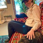 Johanna Braddy Instagram - 🏕️🍂🔥⛰️🐈🐈‍⬛ . . . . . #camping #adventure #hike #catsofinstagram #fall #autumnvibes #autumn