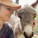 Johanna Braddy Instagram - Love this place so much! @hiddenacresanimalsanctuary