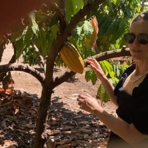 Johanna Braddy Instagram - Car dancing and a fruit farm! @kahukufarms Harvesting cacao?! My dream ♥️🍫
.
.
.
.
.
#hawaii #love #farm #fruit #travel