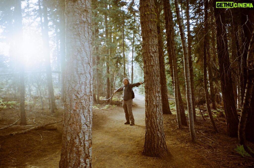 Johnna Dias-Watson Instagram - tree person//scary night monster