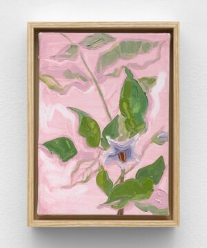 Jordan Casteel Instagram - These incredibly intimate and personal paintings made this summer in my Upstate NY garden are now on view in @caseykaplangallery ‘s physical and online viewing rooms. 

THROUGH DECEMBER 22, 2023

“Jordan Casteel presents a series of seven intimately scaled oil paintings, composed en plein air. Zinnias, nasturtiums and dahlias are rendered true-to-scale and at peak bloom. 

The floral bounties of Casteel’s own cultivated landscape mark the establishment of new routines and relationships within the community of her rural surroundings in Upstate New York. Composed in situ and immersed in the lush gardens of her home, Casteel positions herself on the ground and props the canvas in her lap. With a narrow field of vision, vegetal microcosms of the vast surrounding landscape are isolated. Casteel translates observations with confident and swift brushstrokes in real time rather than documenting on-the-go impressions amid the hustle of daily life in Harlem, NY, to be mapped and painted later. Petals and stems are built up through thick swathes of paint, memorialized in a flick of the wrist.

The tightly cropped compositions call to mind the artist’s ‘subway’ series, an ongoing body of work from 2015 that captures the candid exchange between commuters on the NYC subway. Relatable connections are registered with the informality of a gesture, from overlapping legs to clasped hands. The intrinsic bond between parent and child, projected with an outstretched arm in Within Reach(2019), is paralleled and personified in Garden (Dahlia) (2023). Drooping buds traverse each other, resting their weight on their counterpart to form a living trellis.” 

To view them in the gallery, tell the front desk you’d like to see Jordan Casteel’s Recent Landscapes in the viewing rooms — only after you look at the beautiful @carolinekent1 show. 💞