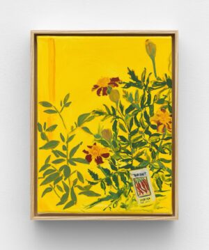 Jordan Casteel Instagram - These incredibly intimate and personal paintings made this summer in my Upstate NY garden are now on view in @caseykaplangallery ‘s physical and online viewing rooms. 

THROUGH DECEMBER 22, 2023

“Jordan Casteel presents a series of seven intimately scaled oil paintings, composed en plein air. Zinnias, nasturtiums and dahlias are rendered true-to-scale and at peak bloom. 

The floral bounties of Casteel’s own cultivated landscape mark the establishment of new routines and relationships within the community of her rural surroundings in Upstate New York. Composed in situ and immersed in the lush gardens of her home, Casteel positions herself on the ground and props the canvas in her lap. With a narrow field of vision, vegetal microcosms of the vast surrounding landscape are isolated. Casteel translates observations with confident and swift brushstrokes in real time rather than documenting on-the-go impressions amid the hustle of daily life in Harlem, NY, to be mapped and painted later. Petals and stems are built up through thick swathes of paint, memorialized in a flick of the wrist.

The tightly cropped compositions call to mind the artist’s ‘subway’ series, an ongoing body of work from 2015 that captures the candid exchange between commuters on the NYC subway. Relatable connections are registered with the informality of a gesture, from overlapping legs to clasped hands. The intrinsic bond between parent and child, projected with an outstretched arm in Within Reach(2019), is paralleled and personified in Garden (Dahlia) (2023). Drooping buds traverse each other, resting their weight on their counterpart to form a living trellis.” 

To view them in the gallery, tell the front desk you’d like to see Jordan Casteel’s Recent Landscapes in the viewing rooms — only after you look at the beautiful @carolinekent1 show. 💞