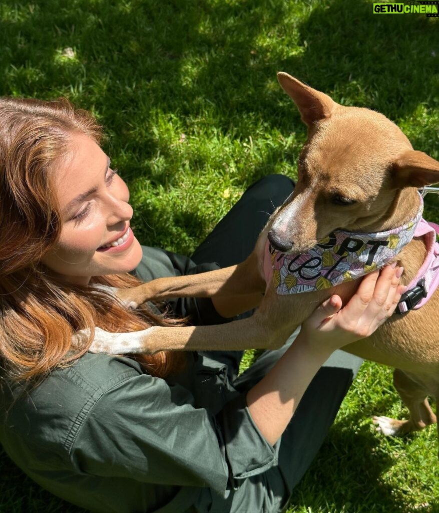 Jordan Claire Robbins Instagram - I spent my dream afternoon in the park falling madly in love with these sweet souls at the @fetch_and_releash event in Toronto. Each one had their own unique and loveable personality and they are all available for adoption!! If you live in or around Toronto and are ready to welcome a beautiful new best friend into your home, please visit the @fetch_and_releash page for more information about each dog and instructions on how to apply for adoption ❤️🐾 #adopt #dogsofinstagram #fetchandreleash #toronto