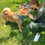 Jordan Claire Robbins Instagram - I spent my dream afternoon in the park falling madly in love with these sweet souls at the @fetch_and_releash event in Toronto. Each one had their own unique and loveable personality and they are all available for adoption!! If you live in or around Toronto and are ready to welcome a beautiful new best friend into your home, please visit the @fetch_and_releash page for more information about each dog and instructions on how to apply for adoption ❤️🐾 #adopt #dogsofinstagram #fetchandreleash #toronto