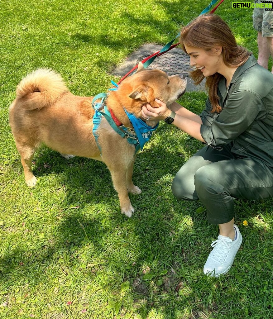 Jordan Claire Robbins Instagram - I spent my dream afternoon in the park falling madly in love with these sweet souls at the @fetch_and_releash event in Toronto. Each one had their own unique and loveable personality and they are all available for adoption!! If you live in or around Toronto and are ready to welcome a beautiful new best friend into your home, please visit the @fetch_and_releash page for more information about each dog and instructions on how to apply for adoption ❤️🐾 #adopt #dogsofinstagram #fetchandreleash #toronto