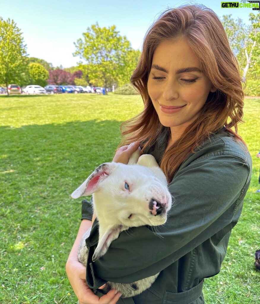 Jordan Claire Robbins Instagram - I spent my dream afternoon in the park falling madly in love with these sweet souls at the @fetch_and_releash event in Toronto. Each one had their own unique and loveable personality and they are all available for adoption!! If you live in or around Toronto and are ready to welcome a beautiful new best friend into your home, please visit the @fetch_and_releash page for more information about each dog and instructions on how to apply for adoption ❤️🐾 #adopt #dogsofinstagram #fetchandreleash #toronto