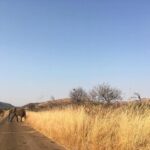 Jordan Clark Instagram - A day in South Africa 🇿🇦