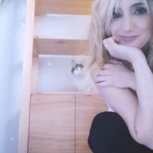 Jorgelina Aruzzi Instagram - Mí gato David en @melparmuebles 💖❤️😺😺😺