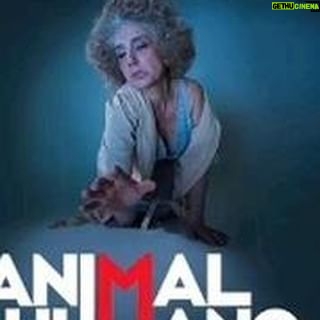 Jorgelina Aruzzi Instagram - Disfruto mucho #animalhumano. Los espero con todo mi amor !https://entradauno.com/landing/13003-animal-humano?idEspectaculoCartel=13003&cHashValidacion=e915f99744dc57849f21964345ad85f1a4db6465