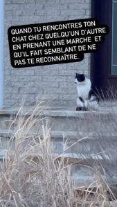 Josée Boudreault Top 100 Instagram Photos and Posts