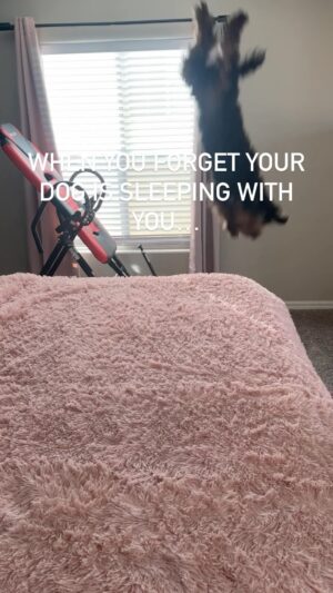 Journey Kay Instagram - Oops… 😂🤷🏼‍♀️🤦‍♀️😱