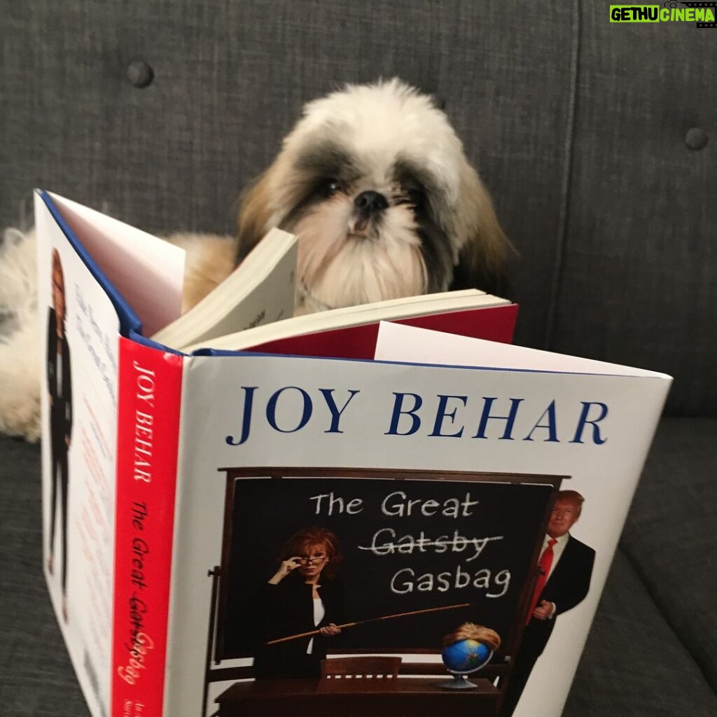 Joy Behar Instagram - Even Bernie loves ‘The Great Gasbag’!