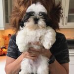 Joy Behar Instagram – My dog, Bernie (ahem, Sanders) believes in universal single payer veterinary care for all animals. He now has an Instagram- go follow him!! @berniebehar