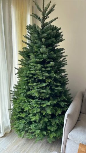 Joyce Tang Lai-Ming Instagram - Wow,finish finally🎄🌲