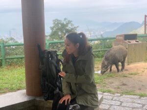 Joyce Tang Lai-Ming Instagram - 鏡前同鏡後係另一番風景
好多時都會有訪客🤣
你哋睇到有幾多？
#愛回家之開心速遞  #behindtgescene #ilovework #野豬 #大家都係為生活啫