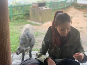 Joyce Tang Lai-Ming Instagram - 鏡前同鏡後係另一番風景
好多時都會有訪客🤣
你哋睇到有幾多？
#愛回家之開心速遞  #behindtgescene #ilovework #野豬 #大家都係為生活啫