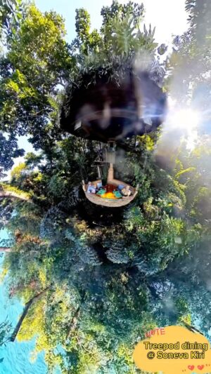 JuJu Chan Instagram - Music ON 🔊 
What an amazing tree pod dining experience! Was like we had the whole forest and island to ourselves!!! 💕

Follow @discoversoneva for your daily dose of paradise

#discoversoneva #sonevakiri #experiencesoneva #resort #luxurytravel #babymoon #thailand #treepod #restaurant