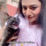 Jui Gadkari Instagram - Met this cutie on set today… couldnt stop myself from petting her❤️🥹 missing my babies very very very badly… 😭😭😭😭 #cats #catsofinstagram #feline #petlover #catlove #catmom #indiemau Note: donot send me messages and comments saying rastyavarcha animals la hat lau nakos! Me lavnar and i know the after care also 😡