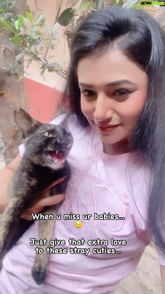 Jui Gadkari Instagram - Met this cutie on set today… couldnt stop myself from petting her❤️🥹 missing my babies very very very badly… 😭😭😭😭 #cats #catsofinstagram #feline #petlover #catlove #catmom #indiemau Note: donot send me messages and comments saying rastyavarcha animals la hat lau nakos! Me lavnar and i know the after care also 😡