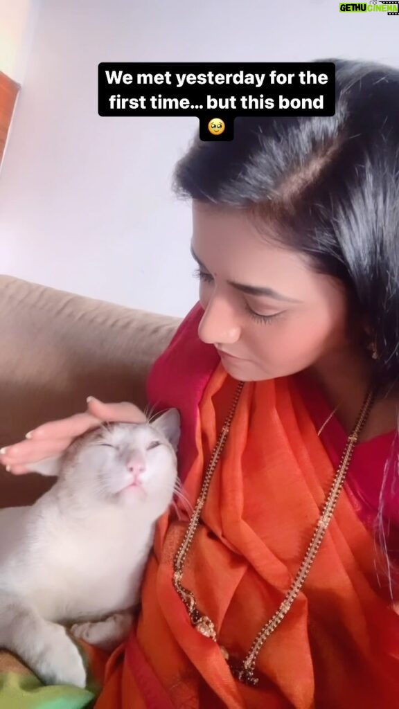 Jui Gadkari Instagram - Animals are god sent angels!!! Do u agree??? Met this bokoba at the beach house yesterday and he just didnt leave me for a minute! Animals know everything… they can sense who loves them! #juigadkari #sayali #ttm #animal #lover #cat #catsofinstagram
