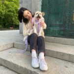 Julia Rehwald Instagram - 10 months later & im excited to finally introduce my little Biko !!! thank you @heartsandbonesrescue for rescuing him and bringing us together & thank you to @wildone for making sure he always stays so handsome and stylish 💅
