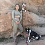 Juliana Harkavy Instagram - Family hike photo dump! 💞🥾🐾 #californiahiking #losangeleshiking #topangacanyon #hike #doghiking #getoutside #nature #canyonhike #adventures #hikingtrail #lahiking #californiaadventure