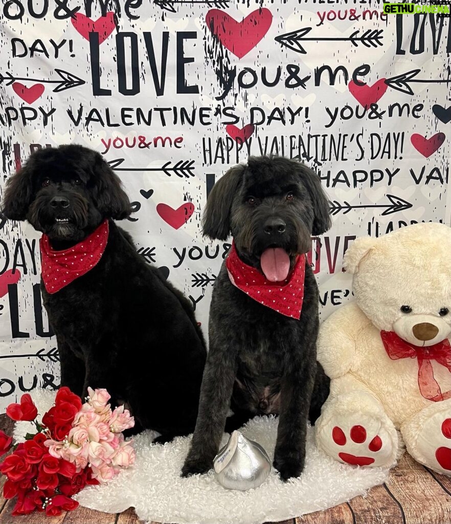 Julie Benz Instagram - Happy Valentine’s Day you filthy animals ❤️💋😍🥰😘