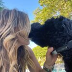 Julie Benz Instagram - When you have 4 dogs…. EVERYDAY IS #NATIONALDOGDAY 😱🤣 which proves that my house is run by the dogs 🐻 🐻 🐶 🐶 I’m just here to feed and scoop the poop 💩 photo #2 is typical of me and ozzy 🤪 #mylifeisrunbydogs #mypack #bouviersofinstagram #havaneseofinstagram #morkiesofinstagram