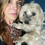 Julie Benz Instagram - When you have 4 dogs…. EVERYDAY IS #NATIONALDOGDAY 😱🤣 which proves that my house is run by the dogs 🐻 🐻 🐶 🐶 I’m just here to feed and scoop the poop 💩 photo #2 is typical of me and ozzy 🤪 #mylifeisrunbydogs #mypack #bouviersofinstagram #havaneseofinstagram #morkiesofinstagram