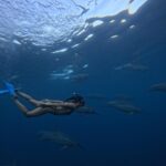 Julie Bertin Instagram - 📍 @vitamin_sea_mauritius « J’ai réalisé mon plus grand rêve de petite fille … nager avec les dauphins dans leur milieu naturel. Je ne saurais comment vous expliquer cette sensation, j’avais l’impression de faire partie de leur gang 😅. Ce moment magique restera pour toujours gravé dans ma mémoire .. Merci à Brice & Morgan pour cette journée, pour le partage de vos connaissances .. 🤍). *invitation.