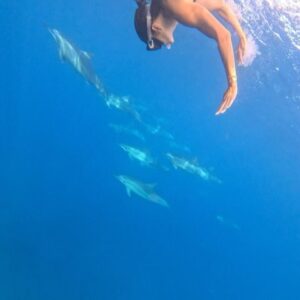 Julie Bertin Instagram - 📍 @vitamin_sea_mauritius 

« J’ai réalisé mon plus grand rêve de petite fille … nager avec les dauphins dans leur milieu naturel. Je ne saurais comment vous expliquer cette sensation, j’avais l’impression de faire partie de leur gang 😅. Ce moment magique restera pour toujours gravé dans ma mémoire .. Merci à Brice & Morgan pour cette journée, pour le partage de vos connaissances .. 🤍).

*invitation.