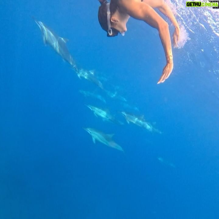 Julie Bertin Instagram - 📍 @vitamin_sea_mauritius « J’ai réalisé mon plus grand rêve de petite fille … nager avec les dauphins dans leur milieu naturel. Je ne saurais comment vous expliquer cette sensation, j’avais l’impression de faire partie de leur gang 😅. Ce moment magique restera pour toujours gravé dans ma mémoire .. Merci à Brice & Morgan pour cette journée, pour le partage de vos connaissances .. 🤍). *invitation.