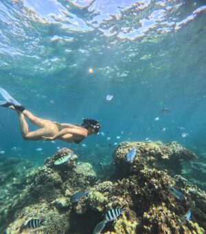 Julie Bertin Instagram - 📍 @vitamin_sea_mauritius 

« J’ai réalisé mon plus grand rêve de petite fille … nager avec les dauphins dans leur milieu naturel. Je ne saurais comment vous expliquer cette sensation, j’avais l’impression de faire partie de leur gang 😅. Ce moment magique restera pour toujours gravé dans ma mémoire .. Merci à Brice & Morgan pour cette journée, pour le partage de vos connaissances .. 🤍).

*invitation.