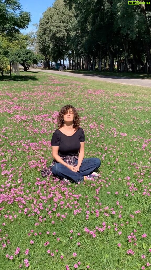 Julieta Díaz Instagram - Cruzar a las flores y al sol… 🌸🇺🇾 @coloniaexpress 🛳️