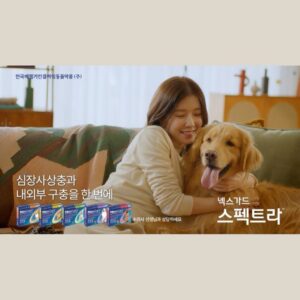 Jung In-sun Instagram - 넥스가드 스펙트라 (feat.케빈)

케빈이는 왕크고 왕귀엽고.. 많이 빠르다🥹

우리 보리도 매월 20일 넥스가드 해요🙋🏻‍♀️