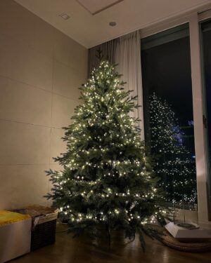 Jung In-sun Instagram - 내 생애 첫 트리🎄