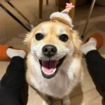Jung In-sun Instagram - HBD for me🙋🏻‍♀️ 저에겐 일년에 한번, 태어나 잘 살아가기로 결심을 다지는 하루😋 4월 25일 축하해주신 모든 분들 감사드려요. 덕분에 따뜻한 하루를 보냈어요. 오늘도 좋은 밤-🌝