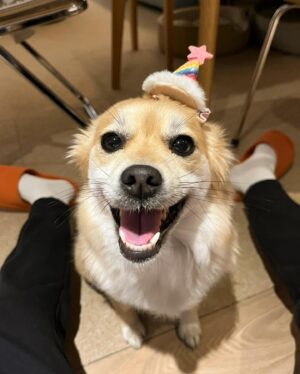 Jung In-sun Instagram - HBD for me🙋🏻‍♀️

저에겐 일년에 한번, 태어나 잘 살아가기로 결심을 다지는 하루😋

4월 25일 축하해주신 모든 분들 감사드려요. 
덕분에 따뜻한 하루를 보냈어요.

오늘도 좋은 밤-🌝