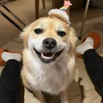 Jung In-sun Instagram - HBD for me🙋🏻‍♀️ 저에겐 일년에 한번, 태어나 잘 살아가기로 결심을 다지는 하루😋 4월 25일 축하해주신 모든 분들 감사드려요. 덕분에 따뜻한 하루를 보냈어요. 오늘도 좋은 밤-🌝