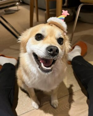 Jung In-sun Instagram - HBD for me🙋🏻‍♀️

저에겐 일년에 한번, 태어나 잘 살아가기로 결심을 다지는 하루😋

4월 25일 축하해주신 모든 분들 감사드려요. 
덕분에 따뜻한 하루를 보냈어요.

오늘도 좋은 밤-🌝