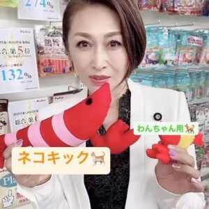 Junko Mihara Instagram - ネコちゃんキック❗️連発。
エビフライはワンちゃん用だそうです。

#ねこきっく #エビフライ #猫のおもちゃ #バズってます #エビフライは犬 #三原じゅん子