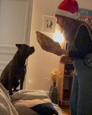 Justine Le Pottier Instagram - Est-ce que je fais partie de ces cinglés qui offrent des cadeaux de Noël à leur chien ?
Oui.