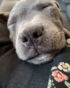 Justine Le Pottier Instagram - Mon petit pépère ❤️