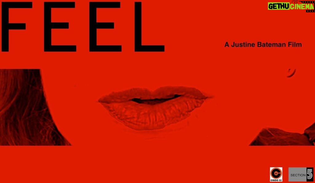 Justine Bateman Instagram - Principal photography is almost wrapped for my new avant-garde film, FEEL. This Section 5 production is the second @_credo23_ film. Some fantastic people have been shot for the film, including actors: Steve Agee, Rob Benedict, Bre Blair, Clancy Brown, Rae Dawn Chong, Erika Christensen, David Duchovny, Isabelle Fuhrman, Aimee Graham, Ernie Hudson, Liana Liberato, Aleksa Palladini, Robert Patrick, Rain Phoenix, Alan Ruck, and Noah Wyle.
