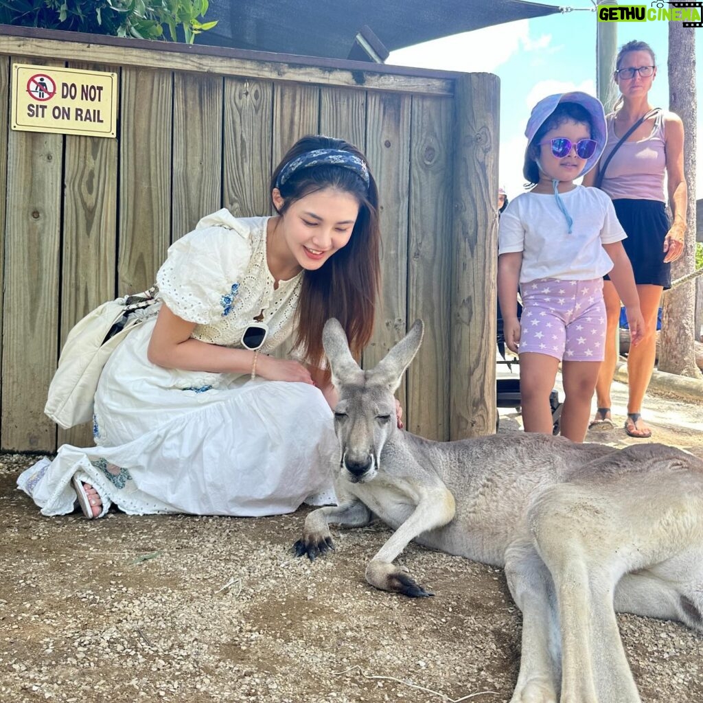 Kabby Hui Instagram - 🐨why so cuteeeeee