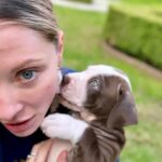 Kaitlin Doubleday Instagram - Puppies make everything better. They’re perfect. Squishy, loving, funny, silly, goofy, cuddly, soft and delicious. Honestly, it’s difficult to be around these puppies…it’s hard not to squish them…to death. Their cuteness evokes a strange violence in me. They’re too cute to be alive!!! Ok, now that we know I’m a psychopath, back to the post. Everyone deserves to love a puppy and be loved by one. The world would be a much better place if puppies like these were treated with the love they so freely give. Adopt adopt adopt!!!