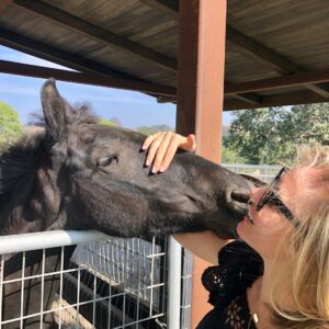 Kaitlin Doubleday Instagram - I’ve found my happy place guys, all I need are a couple of baby miniature pigme’s and pony’s (oh and a few miniature cows, a baby stallion and llama not pictured) I’m movin in! @evansilverberg and @kaththeblonde