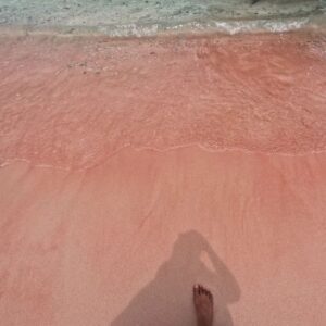 Kamakshi Bhaskarla Instagram - One of the best views of 2024! 💕
#pinkbeach
Pink Beach is located on the island of Komodo, which is one of the five islands that make up the Komodo National Park. The park is a UNESCO World Heritage site. The beach is named for its pink sand, which is caused by the presence of foraminifera, a type of microscopic marine organism. And the color is most vibrant at sunrise and sunset. The beach is also home to a variety of marine life, including sea turtles, manta rays, and dolphins. 
If you're looking for a beautiful and unique beach to visit in Indonesia, then Pink Beach is definitely worth a visit. It's a truly unforgettable experience.

. 
. 
. 
. 
. 
. 
. 
. 
. 
. 
. 
#love #travel #traveler #solo #instagood #indonesia #femaletraveler