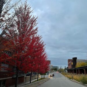 Kamasean Matthews Instagram - October treasures pt. 1